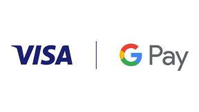 Visa Google Pay logo.